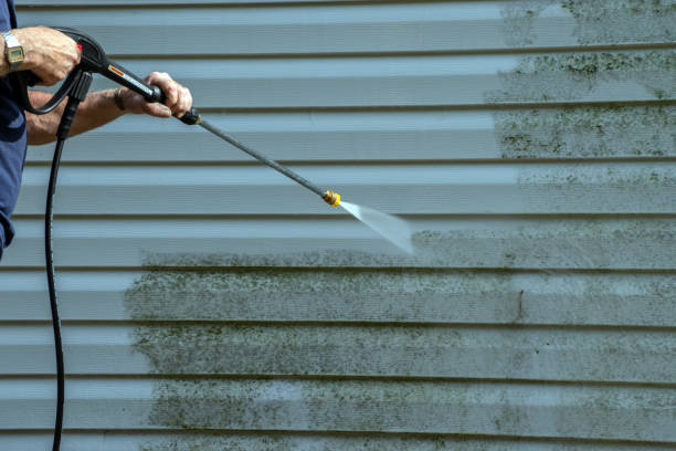 Best Residential Pressure Washing in Monticello, IL